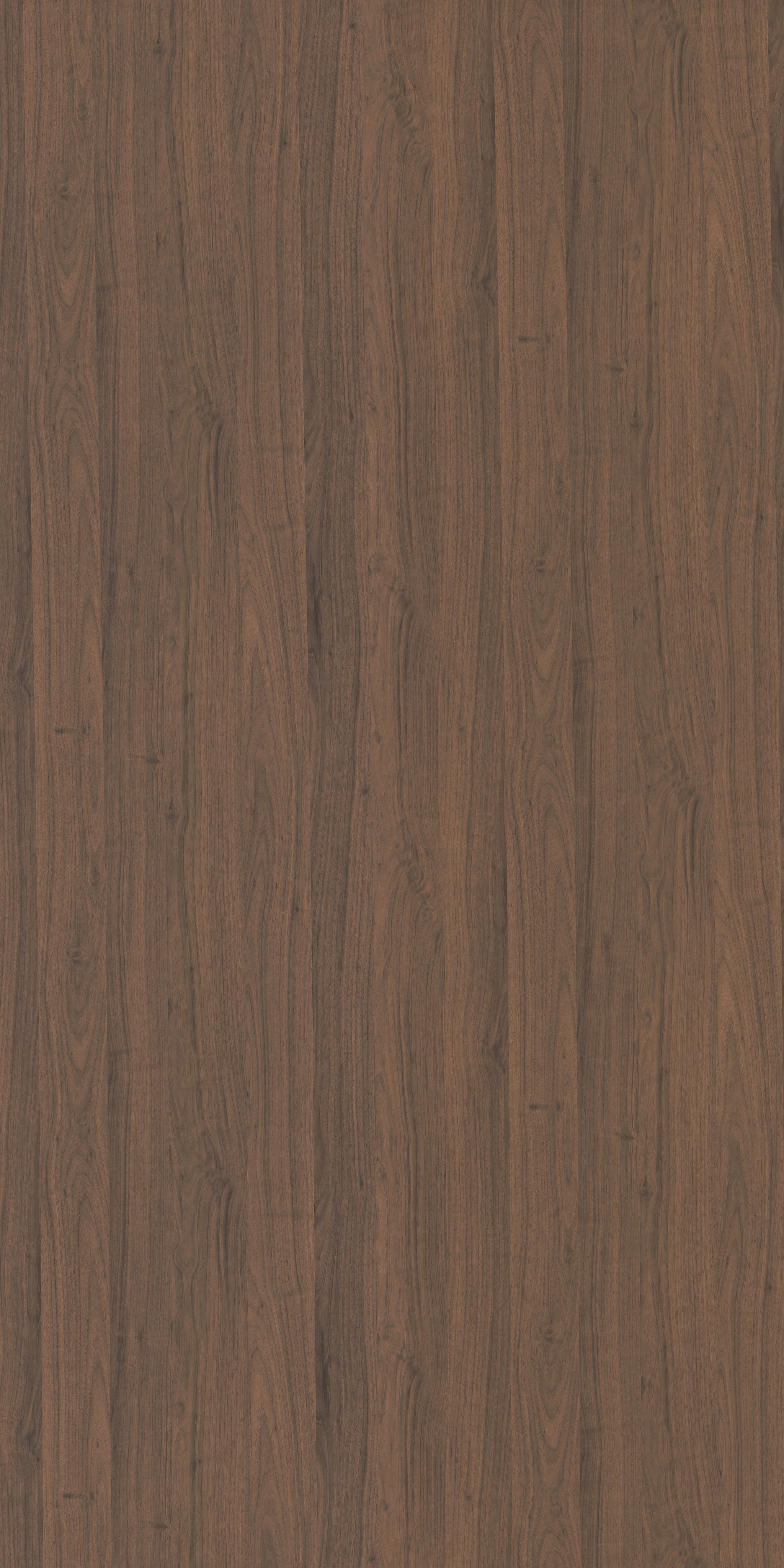 Saket Laminates - 616 - Carini Walnut