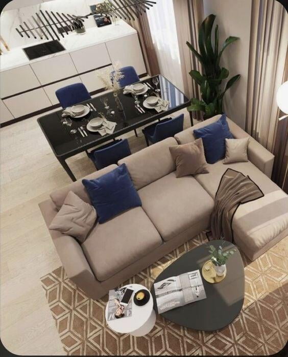 Small Apartment Living room Interior